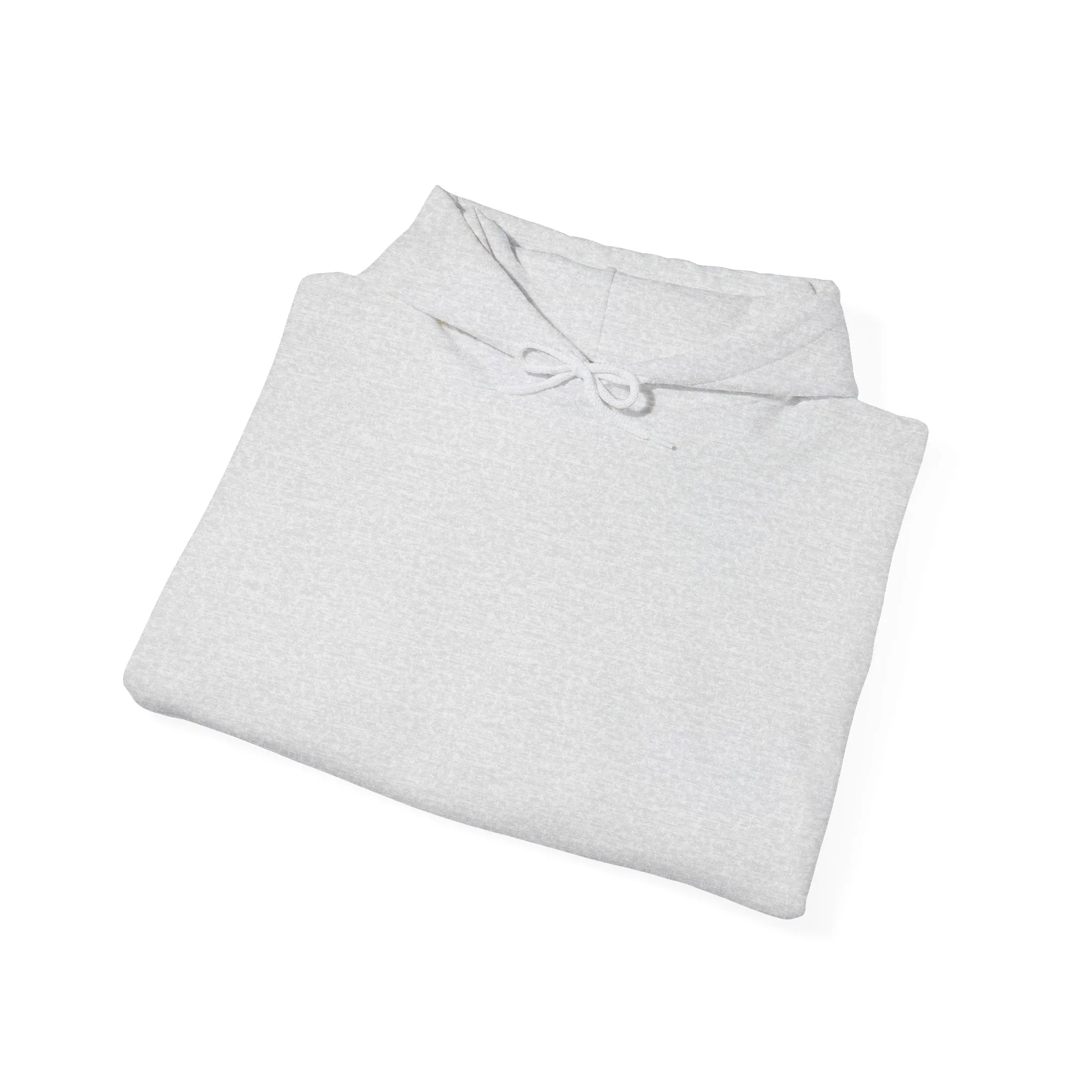 Birds and Sky: Sweatshirt