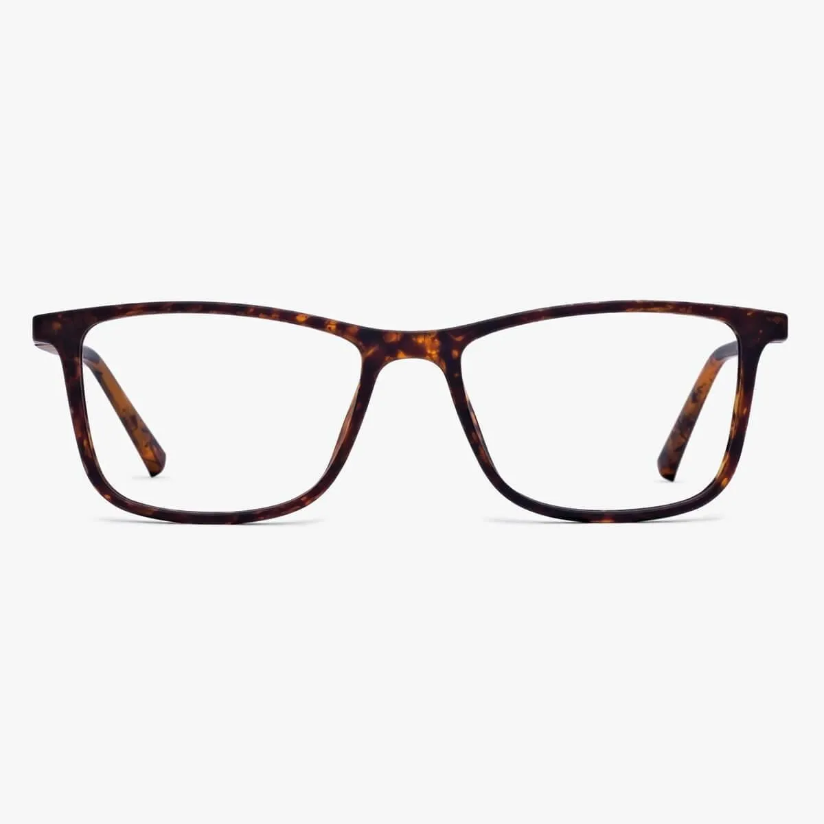 Men's Skagen Turtle