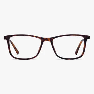 Men's Skagen Turtle